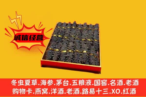 金口河区回收海参